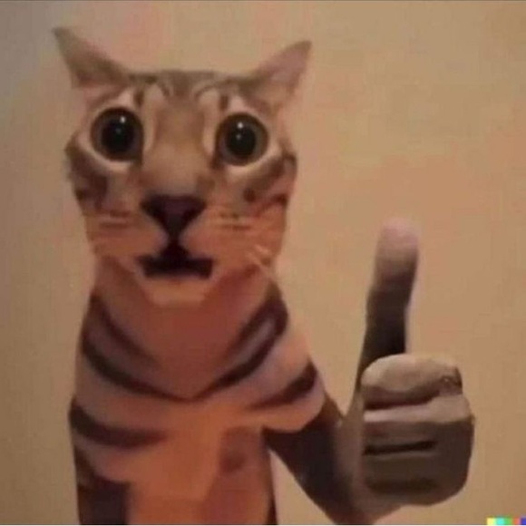 mrmae
